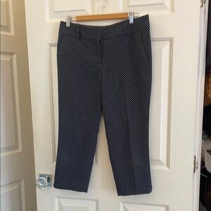 Ann Taylor Blue and White Ankle Cropped Pants